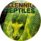 Millennium Reptiles and Exotics