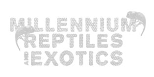 Millennium Reptiles