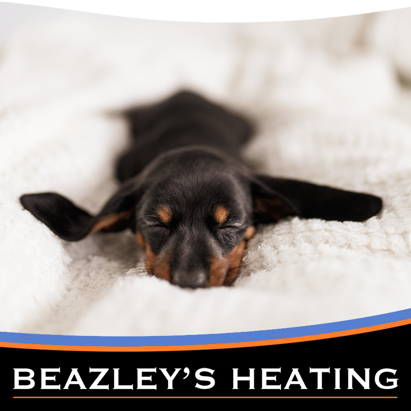 Beazleys Heating Post - puppy