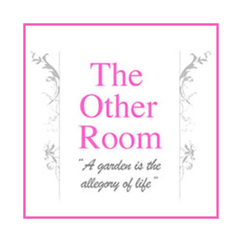 The Other Room logo