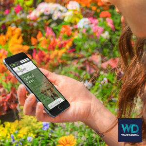 Cloverfields Gardening Website on a mobile device